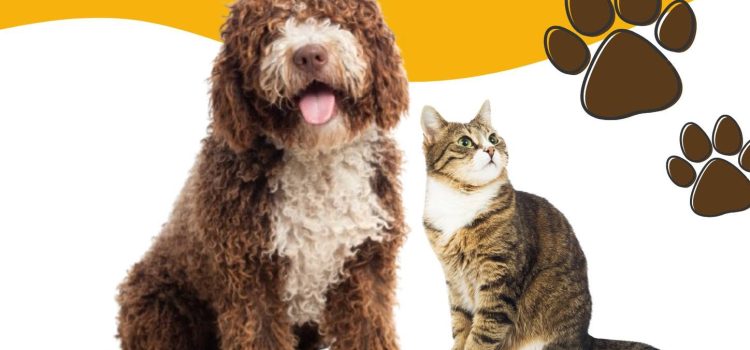4ª CAMPANHA DE ESTERILIZAÇÃO E IDENTIFICAÇÃO ANIMAL
