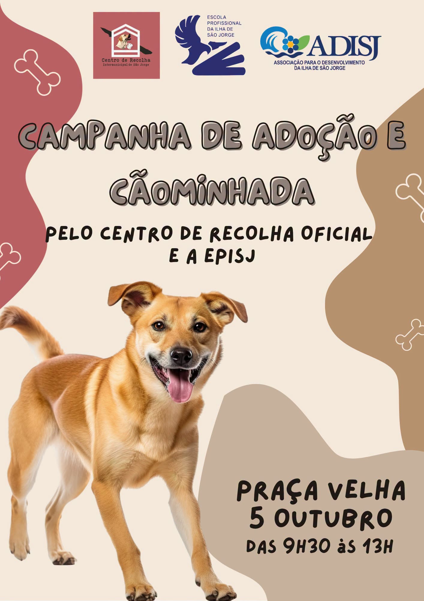 CAMPANHA DE ADOÇÃO ANIMAL