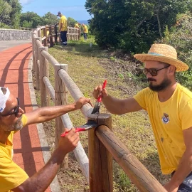MANUTENÇÃO DO CAMINHO DO TEU – TRILHO ECOLÓGICO DA URZELINA MANUTENÇÃO DO CAMINHO DO TEU – TRILHO ECOLÓGICO DA URZELINA