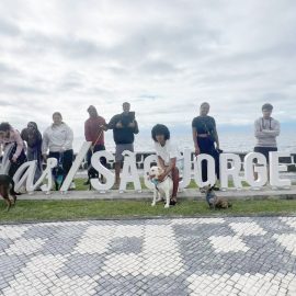 CRO DE SÃO JORGE PROMOVE CAMPANHA DE ADOÇÃO ANIMAL