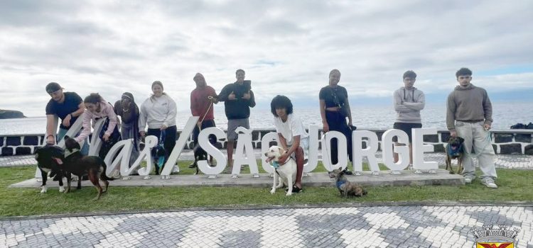 CRO DE SÃO JORGE PROMOVE CAMPANHA DE ADOÇÃO ANIMAL