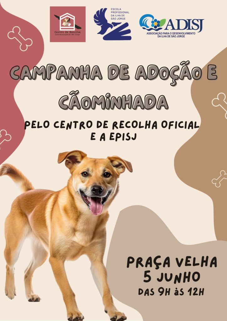 CAMPANHA DE ADOÇÃO ANIMAL